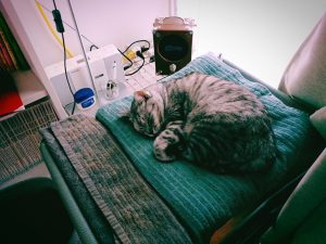 まずは身辺を整える、この秋の最初の独り言、20241008