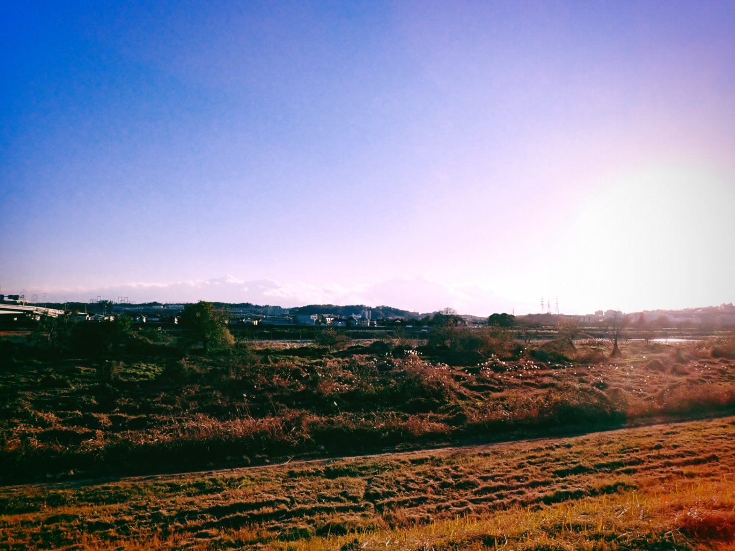 籠城に備える、20241224