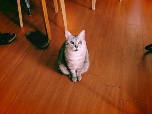 多摩川でバイクを4時間、20241011