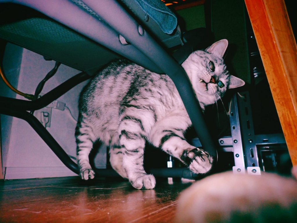 暮れの西荻にて、20241229