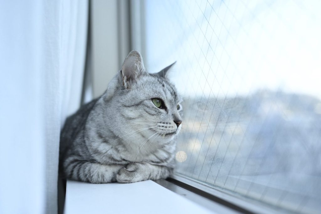 2月のどん底のラン、20250228