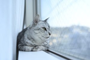 2月のどん底のラン、20250228