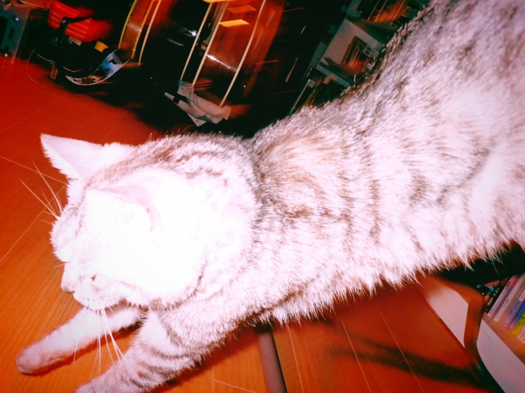 土曜日の息抜き、20240824