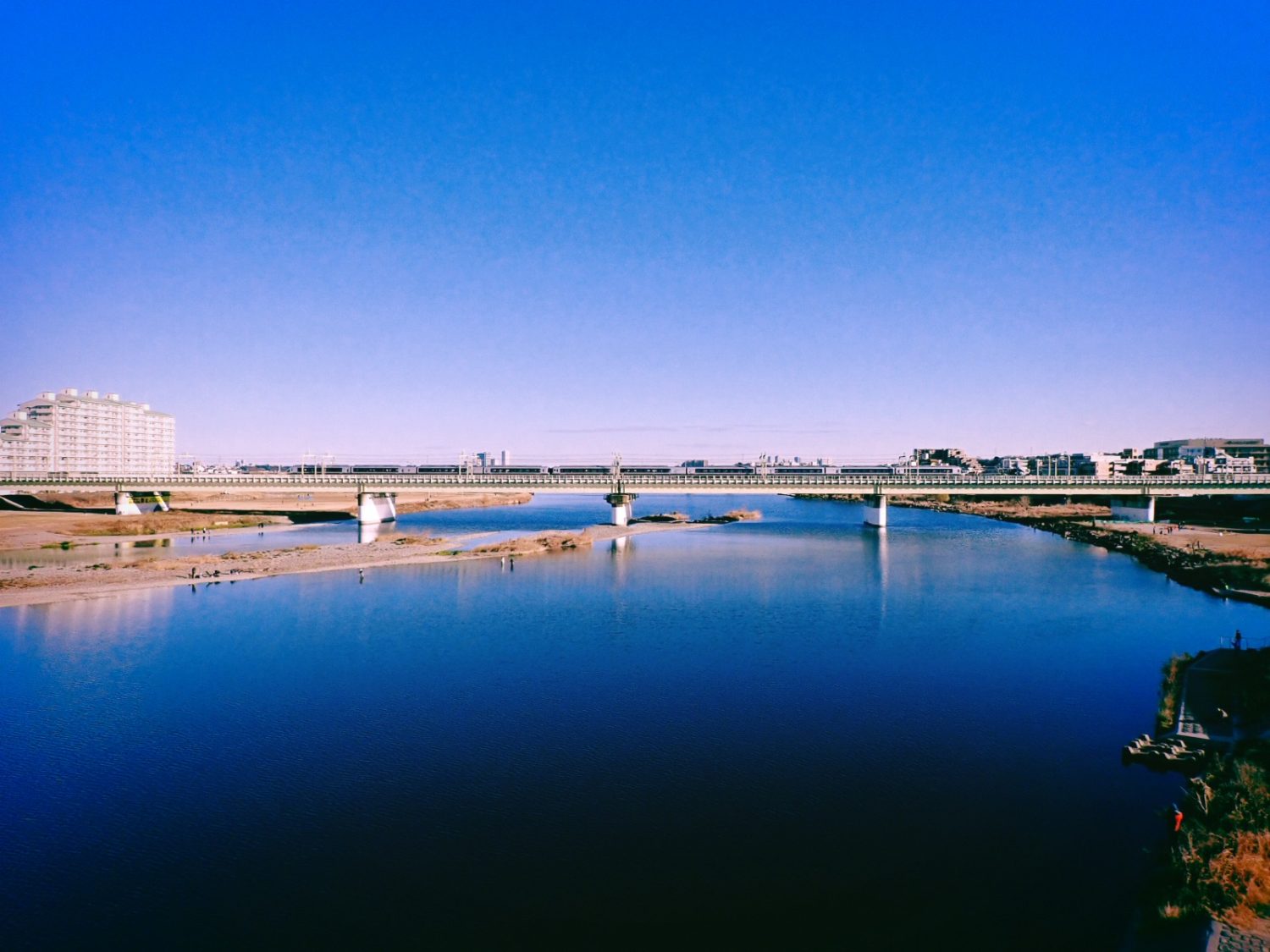 太宰の前期に戻る、20250104