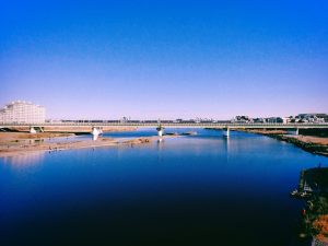 太宰の前期に戻る、20250104