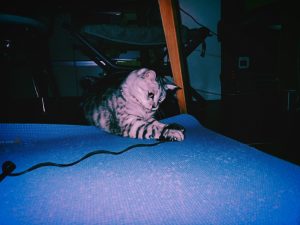 登山の荷造りはしたのだが、20241129