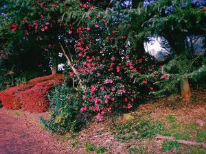 いい感じの土曜日であった、20241207