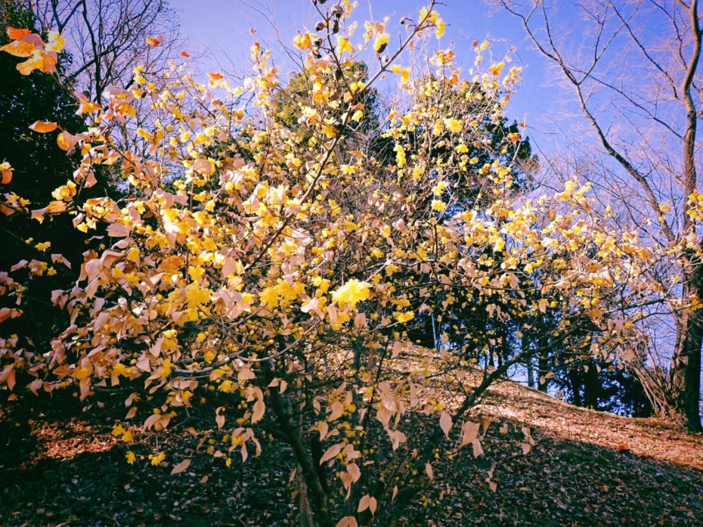 新しい仕事の打ち合わせ、20250122