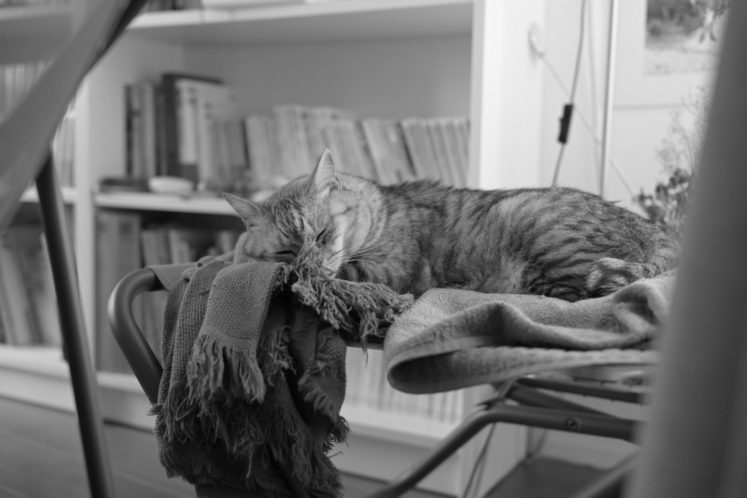 労働とは、20240912