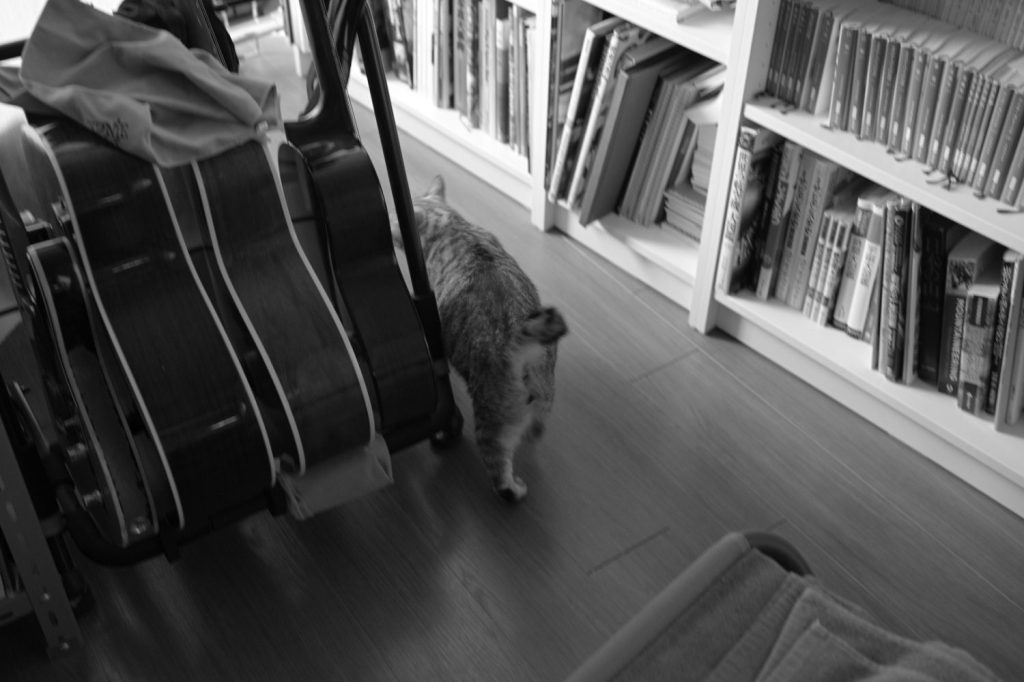 粘ってやり過ごす、20241128