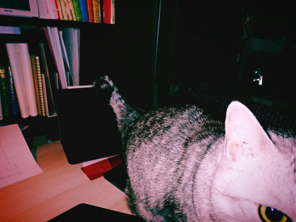 俳句のち仕事、20250209