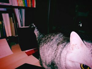 俳句のち仕事、20250209