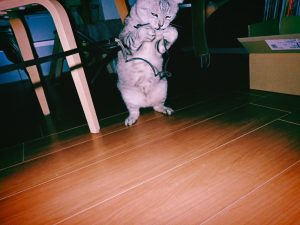 朝一番の取材ワーク、20241127