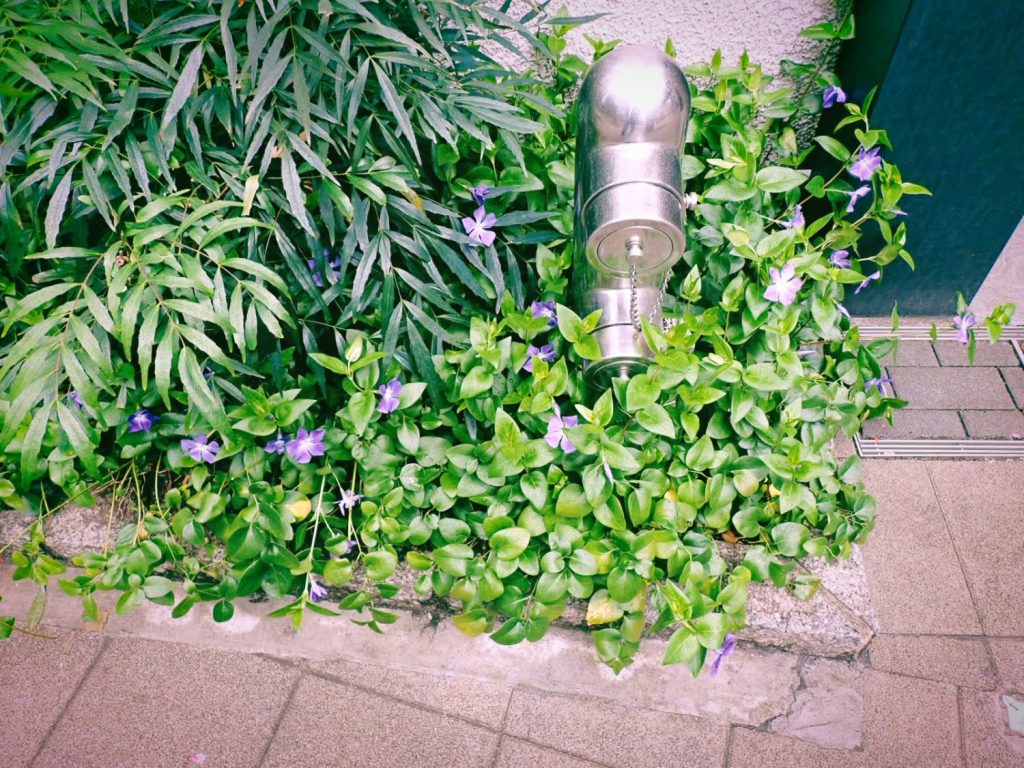 角田裕毅のためのかつ丼とスワローズ、20250402