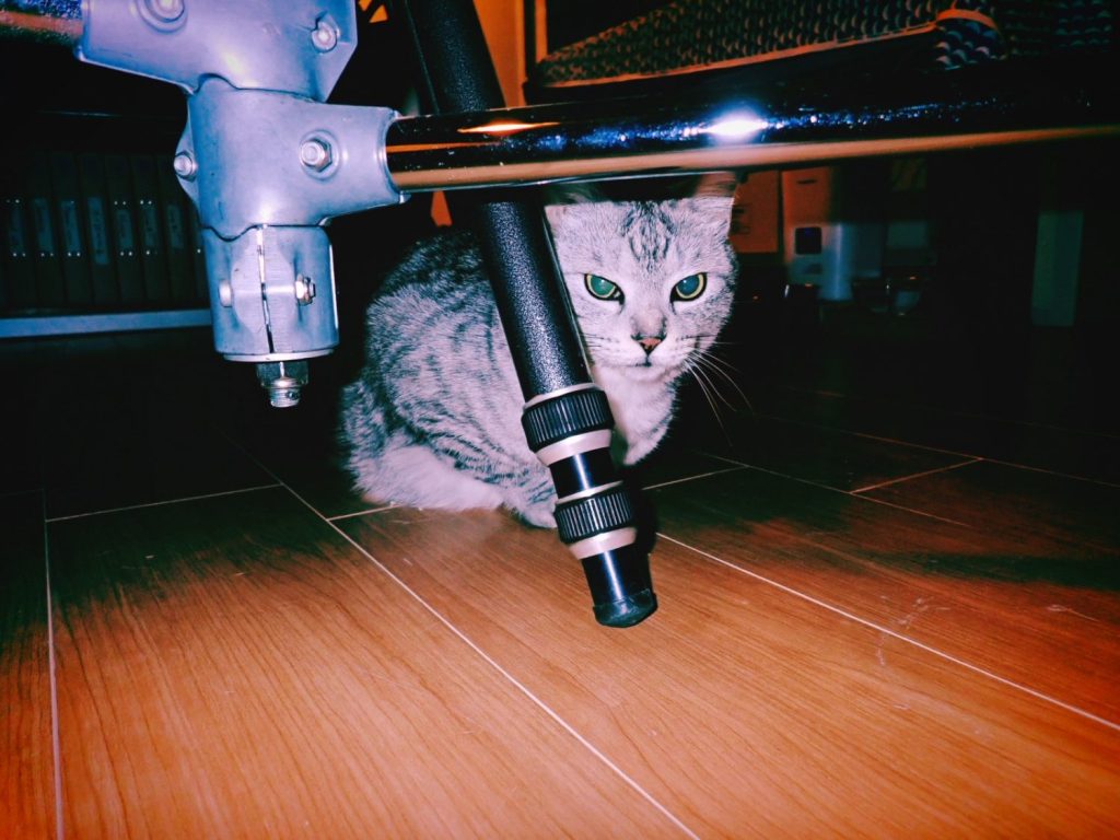 2025開幕戦、角田の予選5位に熱狂する、20250315