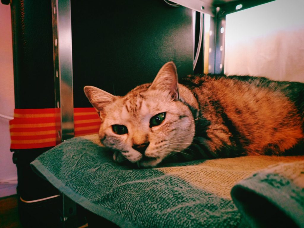 乗り物を駆使し、乗り物を撮る、正直に言い、正直に進む、会話に救われる、20241217