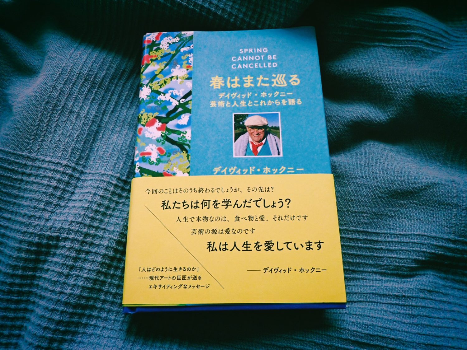 自宅、20250326