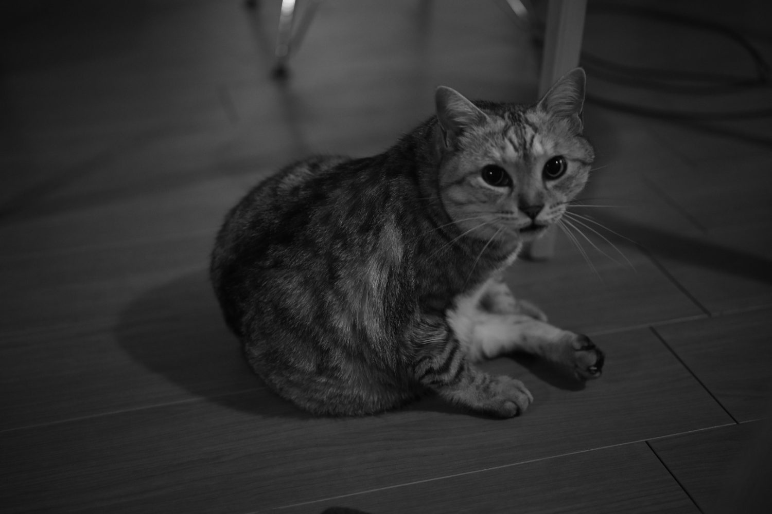 川崎市平和館、個人的な八月のジャーナリズム、20240807