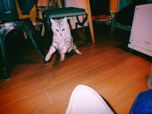 リズムと未舗装路、20250226