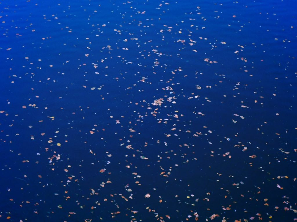 社是原案、20241121