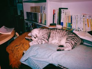 Mさんと久しぶりの仕事、Sさんにばったり会う、20240905