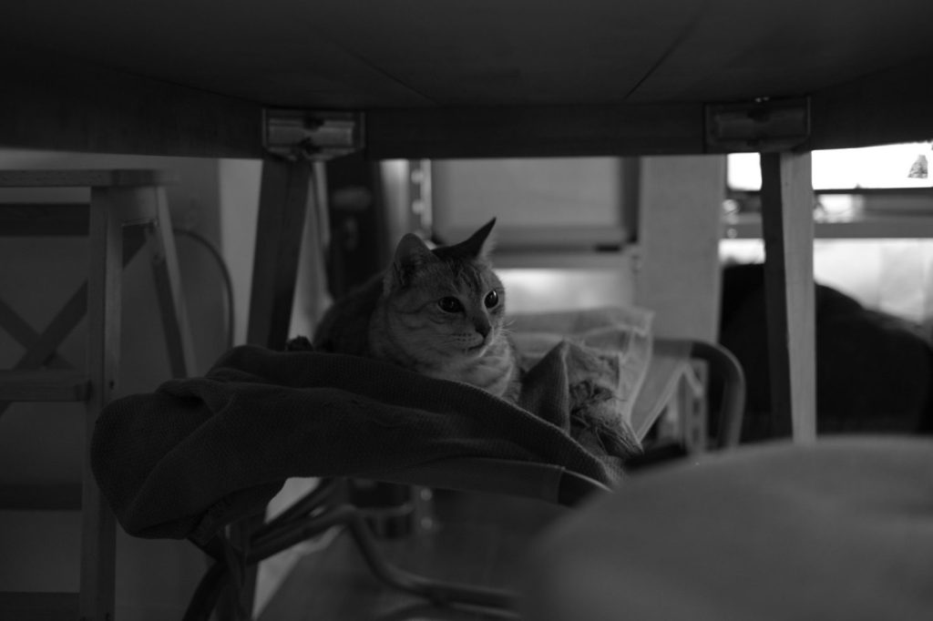 トレーニング初日の発奮、20250201