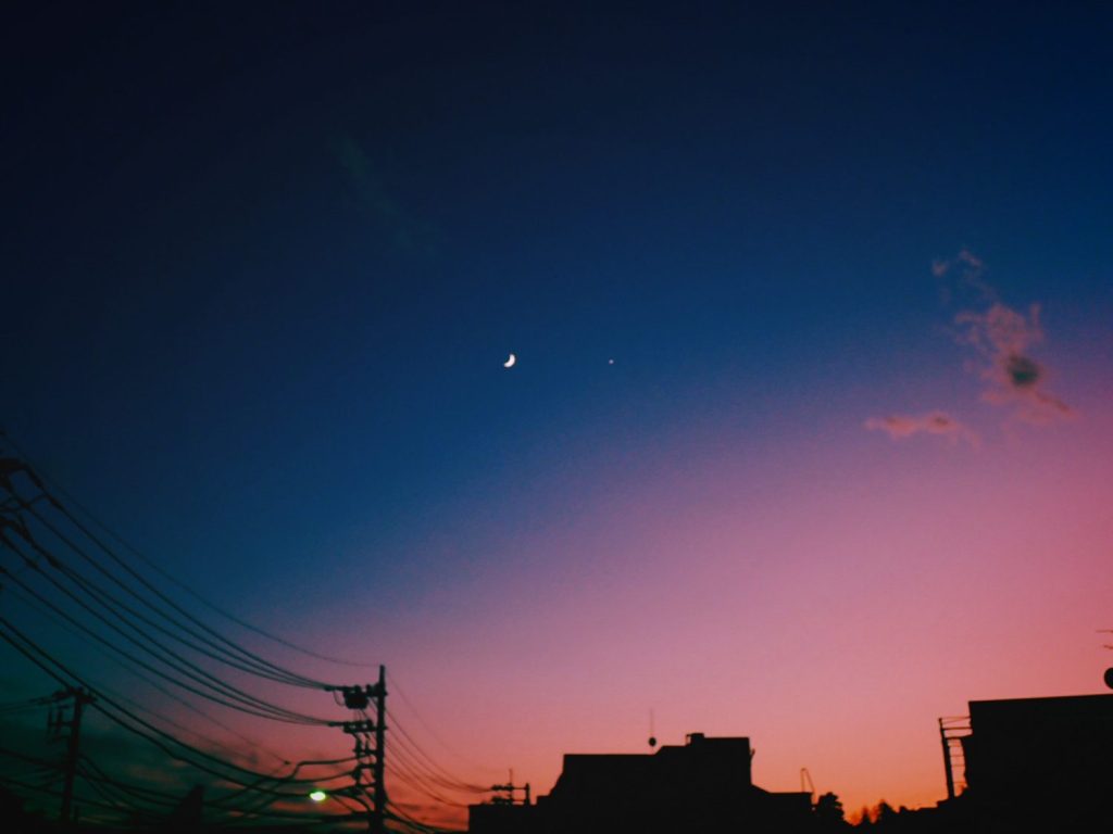 迷ったら走り切ったほうがいいのかもしれない、20241205