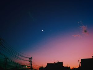 迷ったら走り切ったほうがいいのかもしれない、20241205