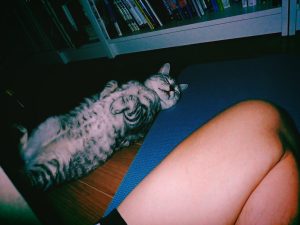 デイ・ゲームと仕事と家事の日曜日、20250302