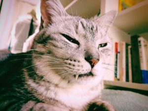 初めてのバリウム検査の記録、20240813