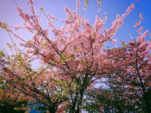 渋谷で海からの風を浴びる、20250314