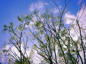 近所、都心、都庁、20250328