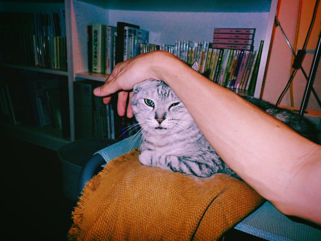 ぎりぎりのきちきち、20241001