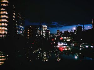 並木がホームランを打つなら、20241218