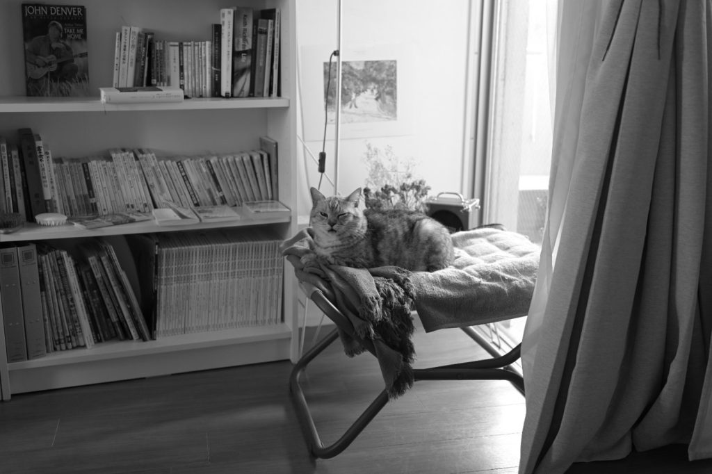 寝不足の週半ば、誤字のひっかかり、20240911