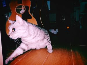 市民プールで聴くシンディ・ローパー「She Bop」、20240906