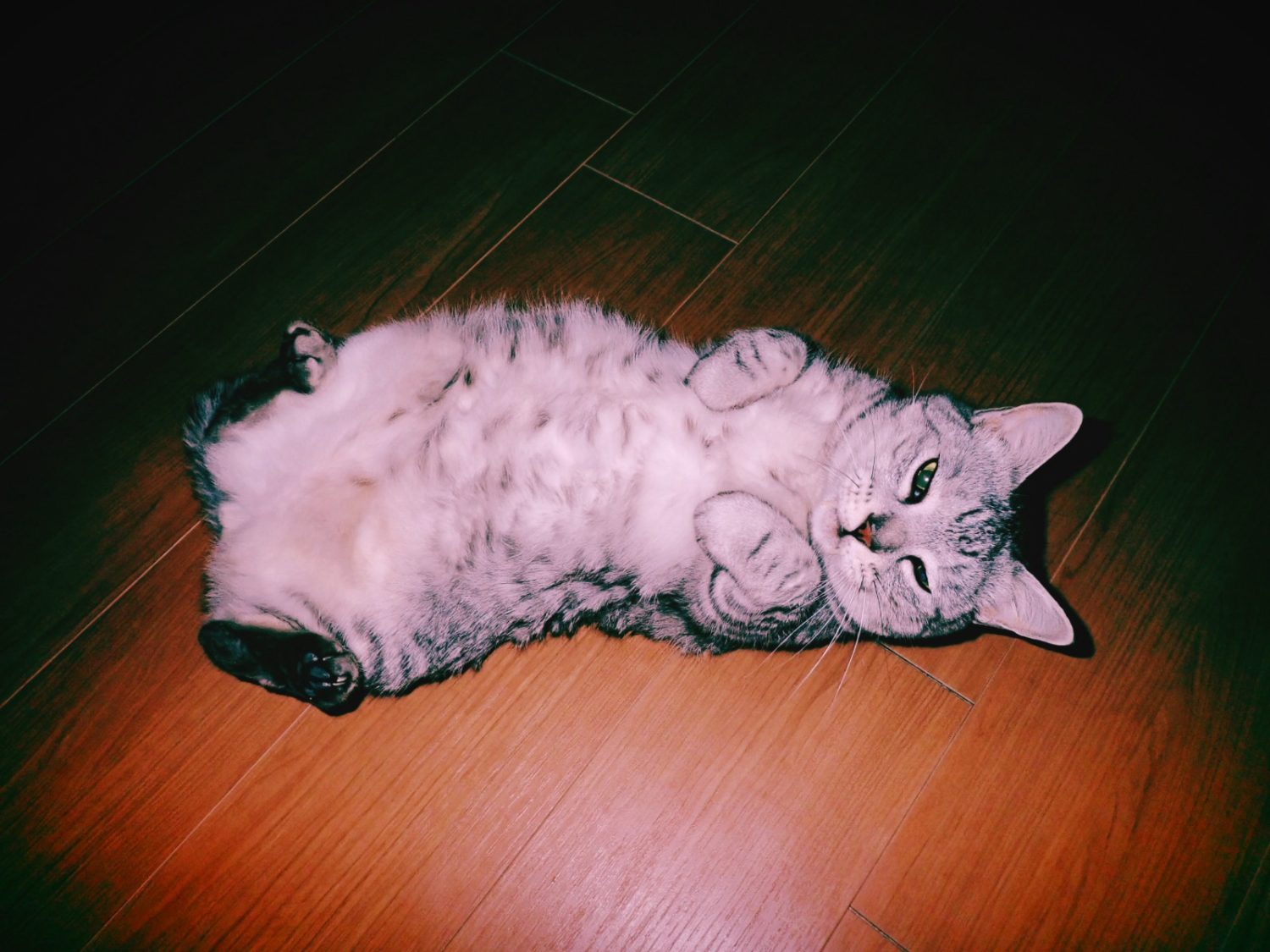 らも読んでようやく落ち着く、20250217