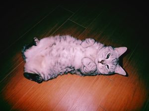 らも読んでようやく落ち着く、20250217