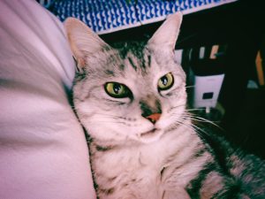 嫌んなったが友がいる！、20240920