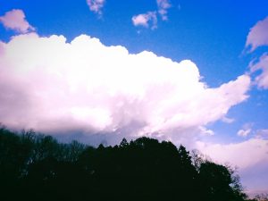 猫に片想い、20241228