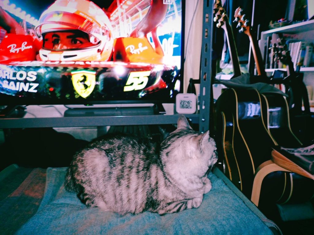 よく休んだ週末、安眠メソッド、バルサミコソース、20241124