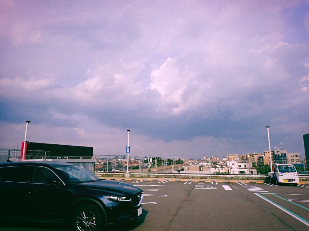 汗の乾き具合で涼を感じる、梨の句、20240821