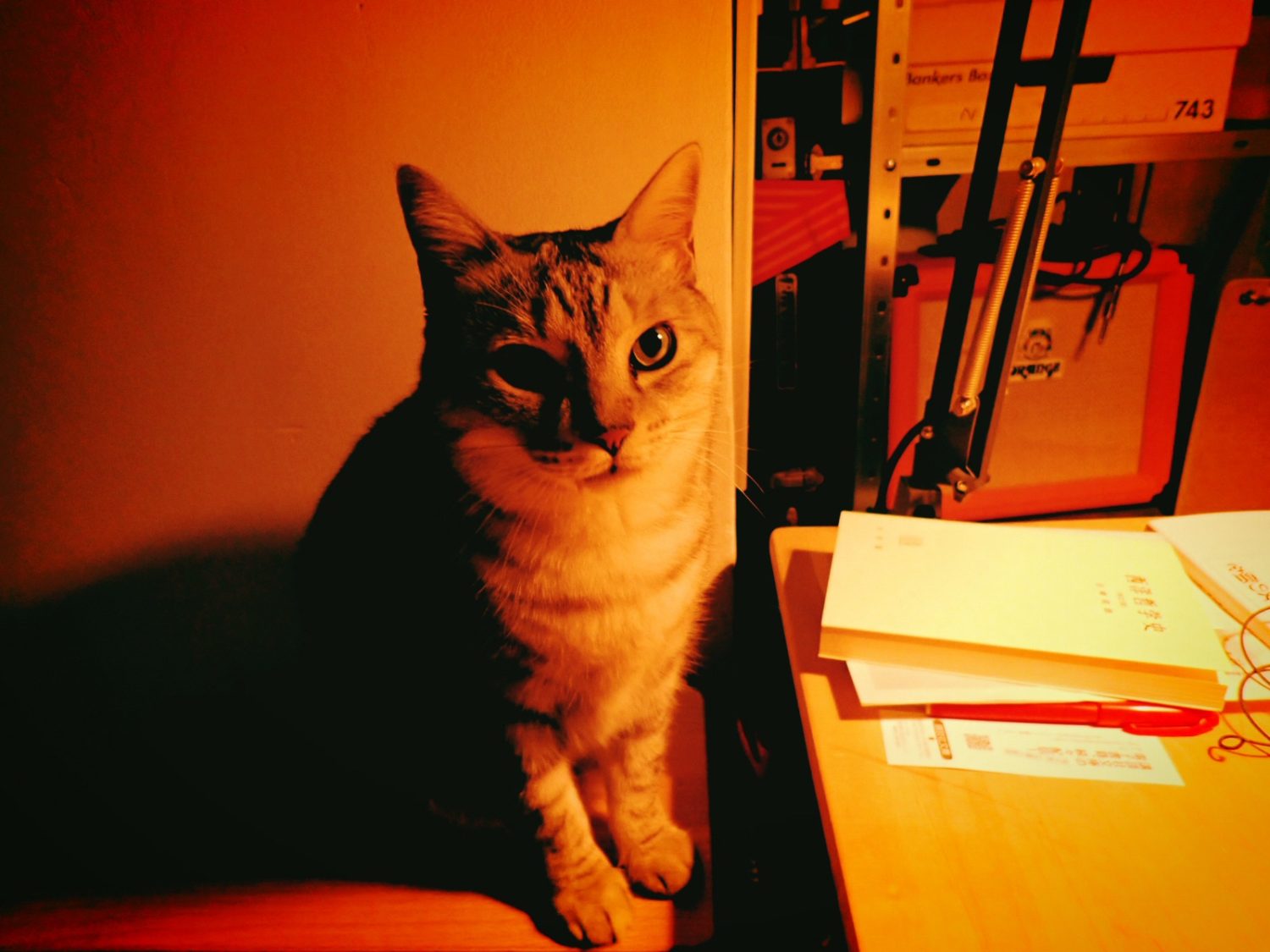 水と石炭を補給する、20241220