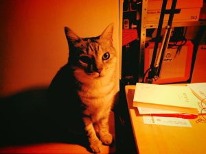 水と石炭を補給する、20241220