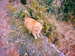 友よ友よ、20241221