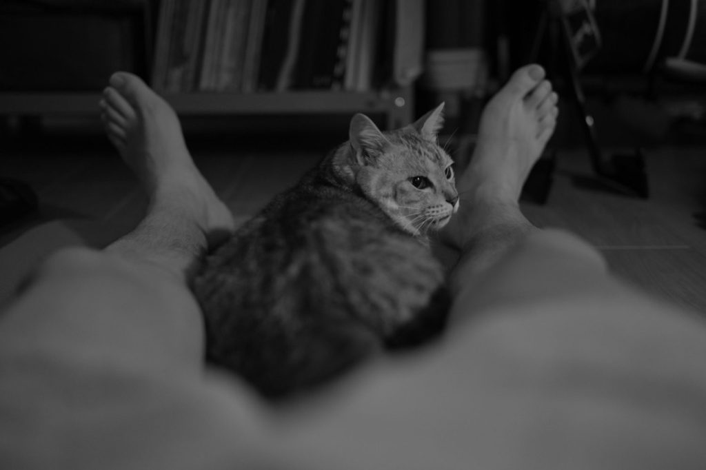 五反田のひとたち、20240831