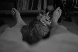 五反田のひとたち、20240831