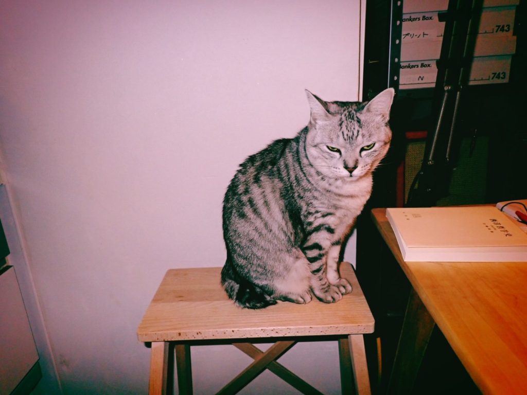 木曜日くらいの月曜日、呪術で乗り切る、20241216