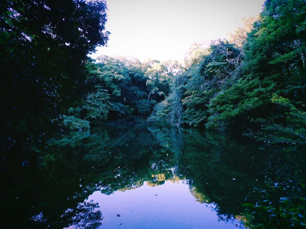 文京区散策ラン、20241015