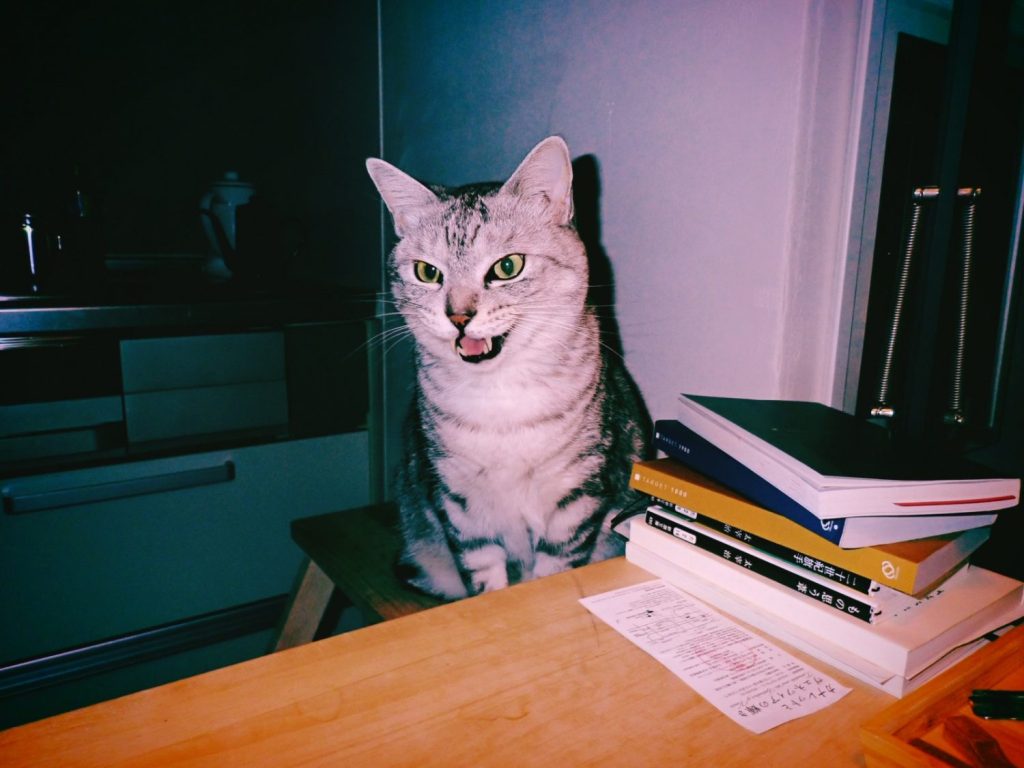 ニュースを見る、やはりうまく走れない、20250120